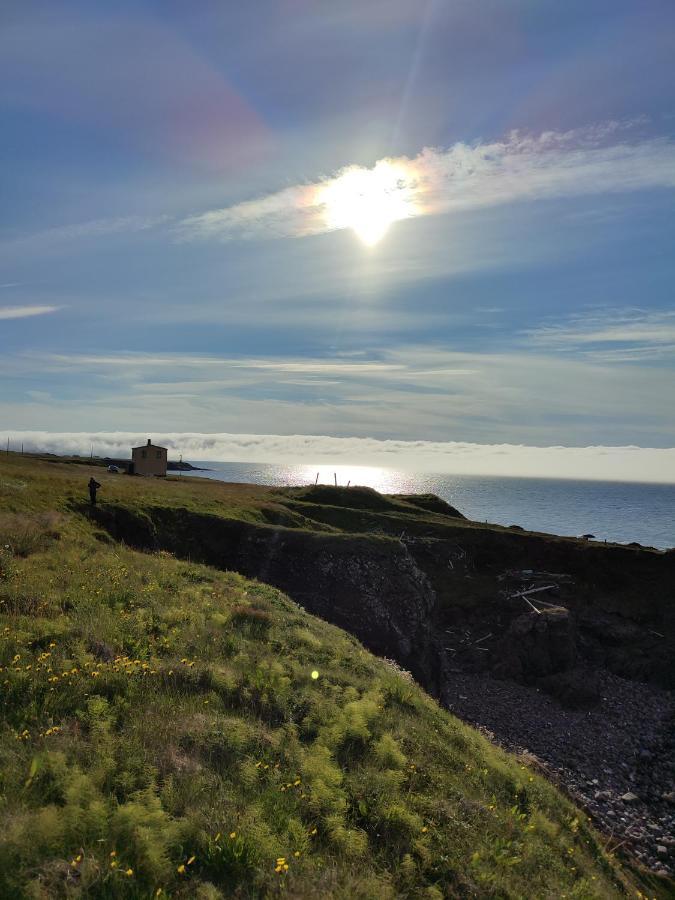 Happy-Cove Guesthouse - By The Sea Bakkafjorthur Exteriér fotografie