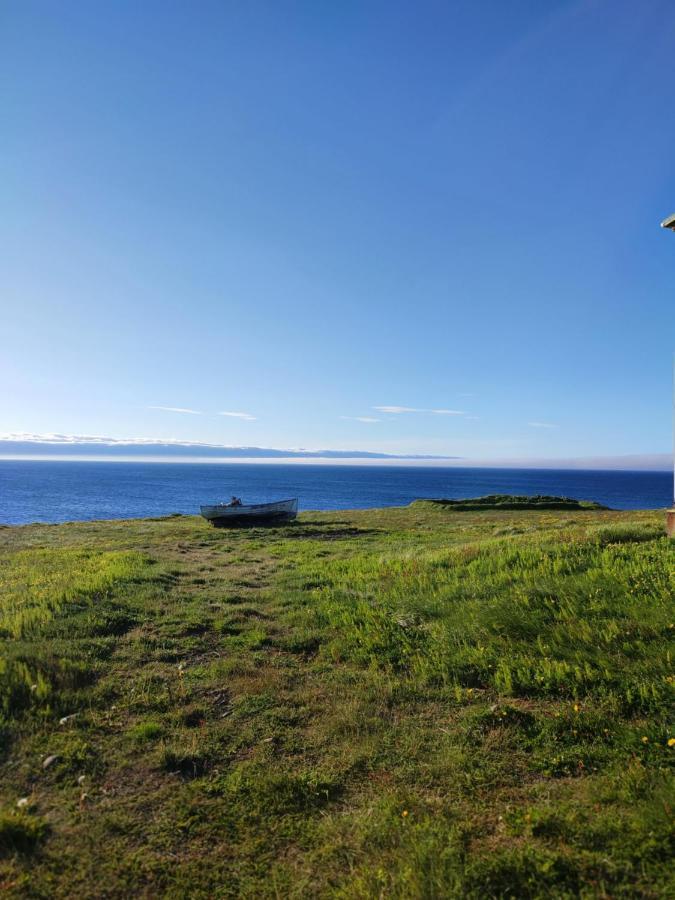 Happy-Cove Guesthouse - By The Sea Bakkafjorthur Exteriér fotografie