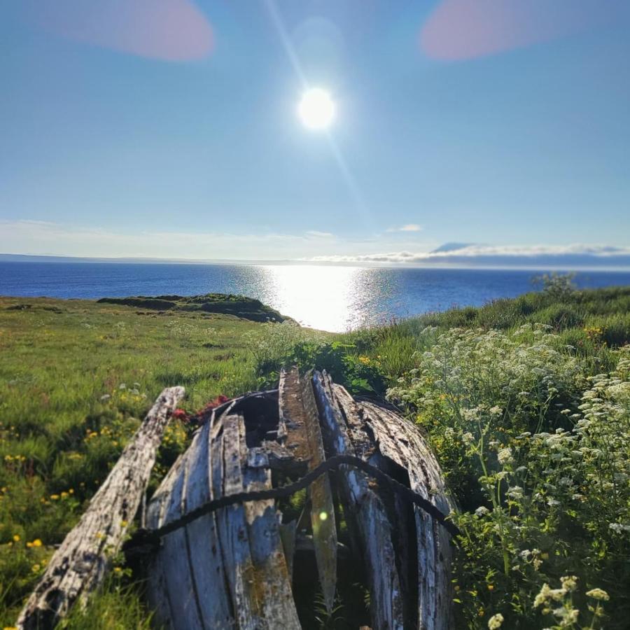 Happy-Cove Guesthouse - By The Sea Bakkafjorthur Exteriér fotografie